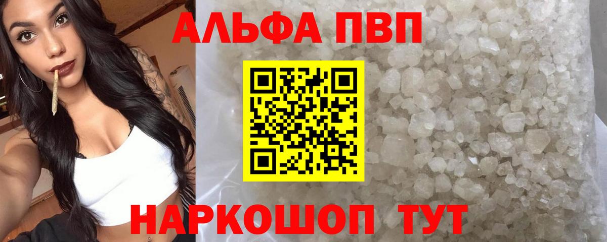 Альфа ПВП СК Вольск
