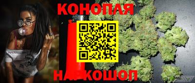 гашик Можайск