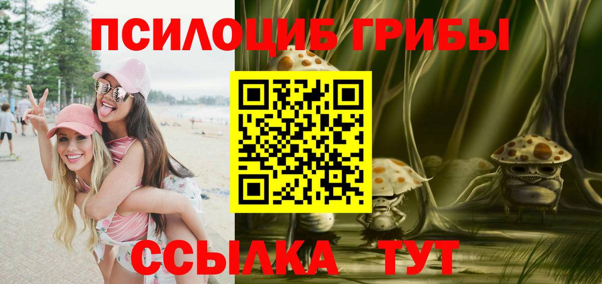 Вольск  Галлюциногенные грибы Magic Shrooms  закладка  Вход с VPN 